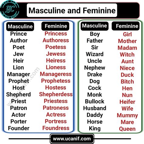 masculine word origin.